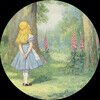 wonderland757